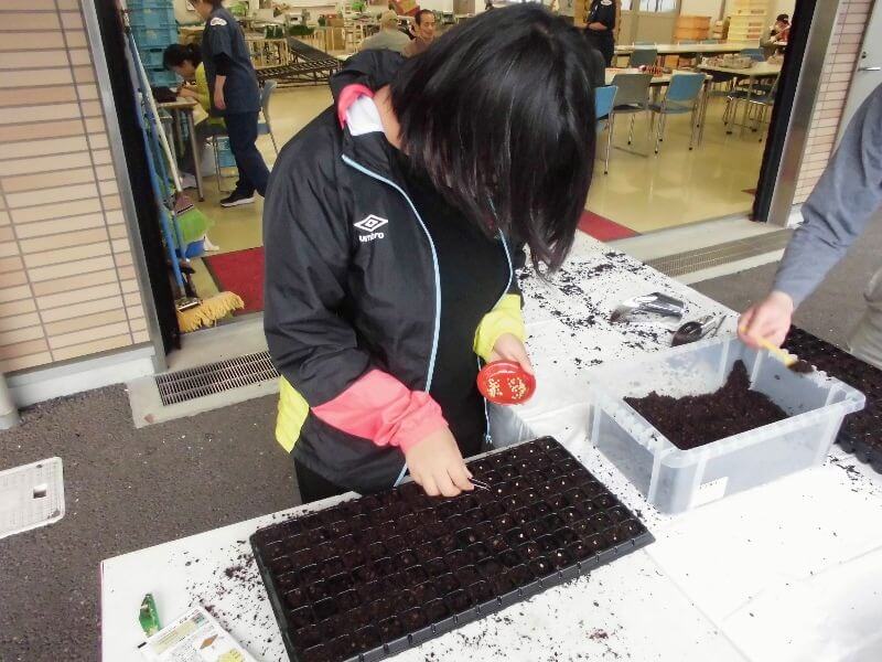 みのり の新作業 園芸作業 で種植えをおこないました 別府リハビリテーションセンター